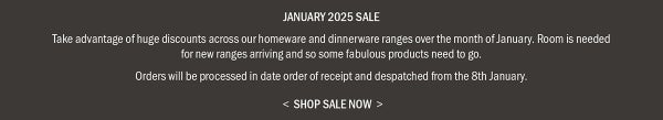 JAN 2025 SALE